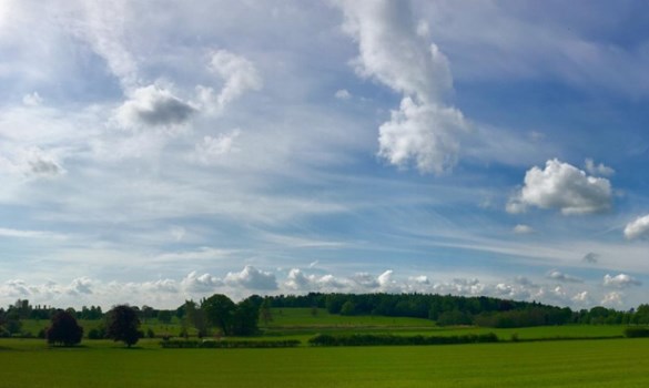 Beds Nat Cap meeting